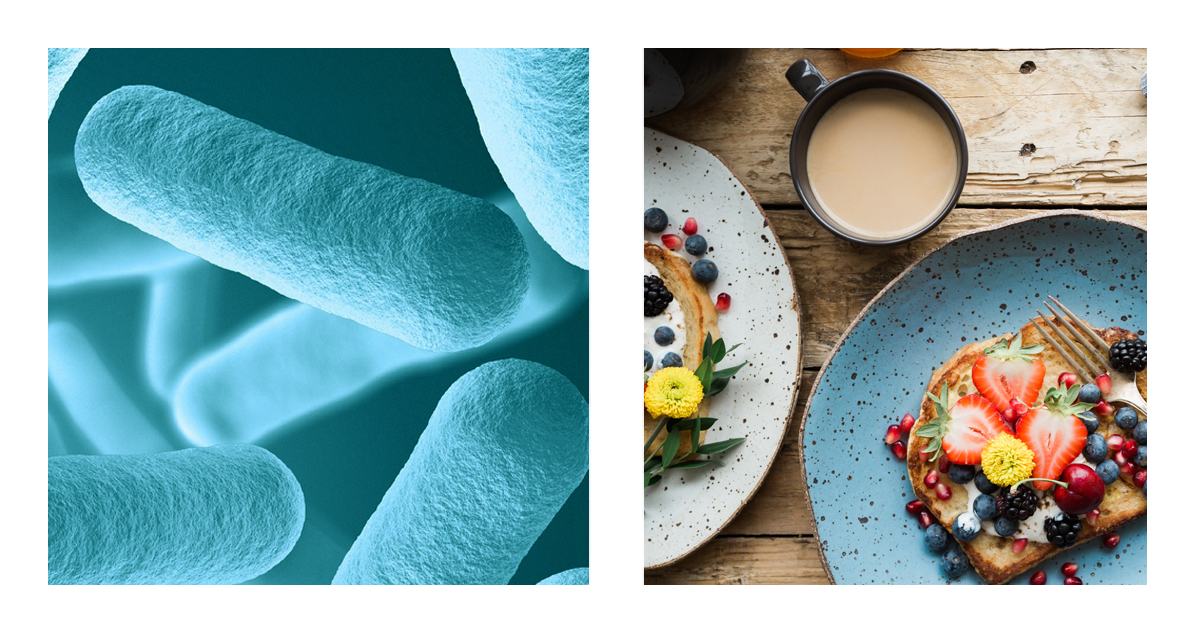 Atelier écosystème intestinal & brunch vitalité