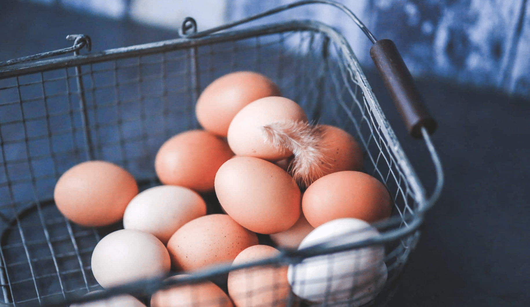bysohealthy naturopathie oeufs