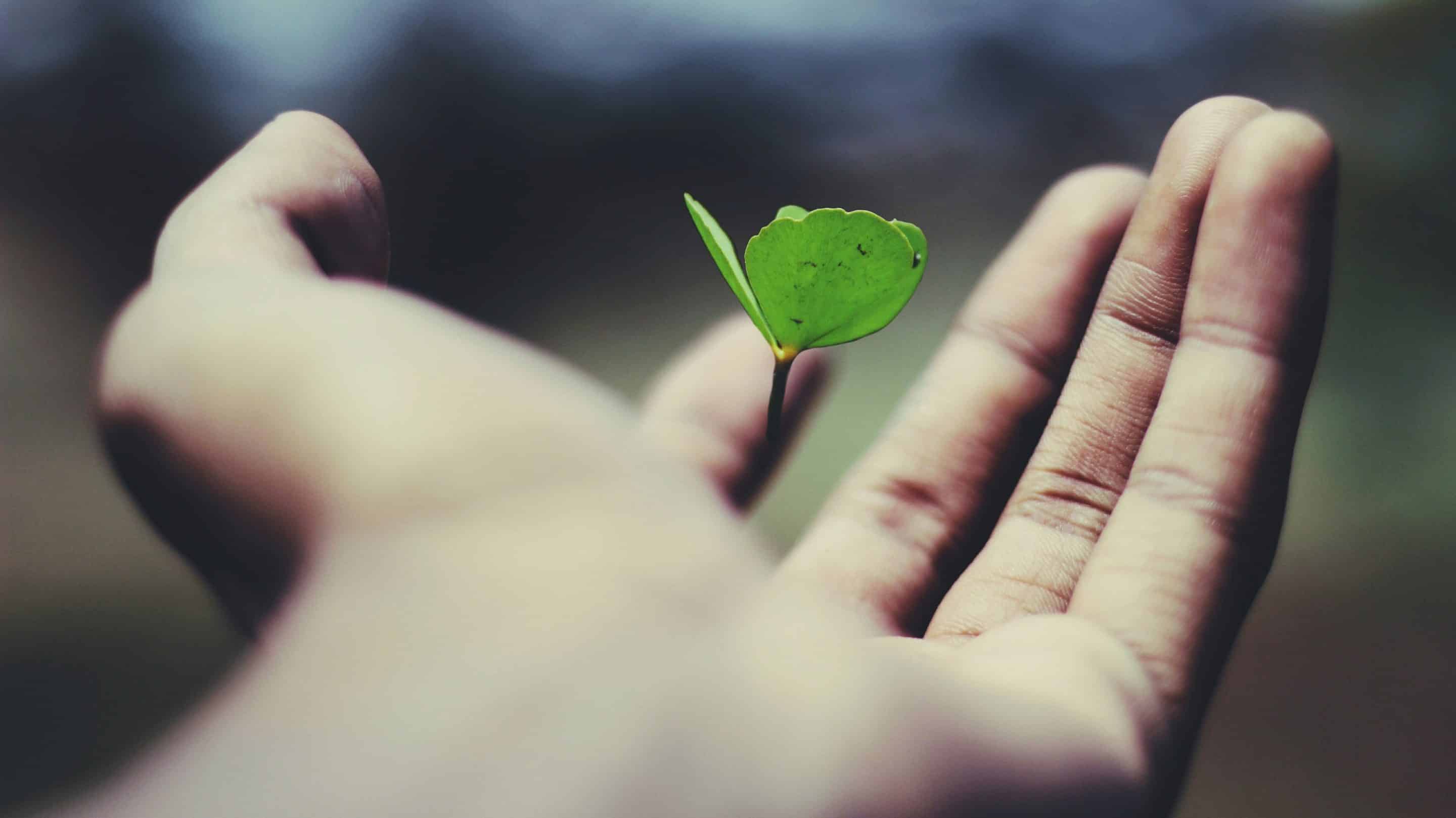 Mode de vie pour un microbiote au top !