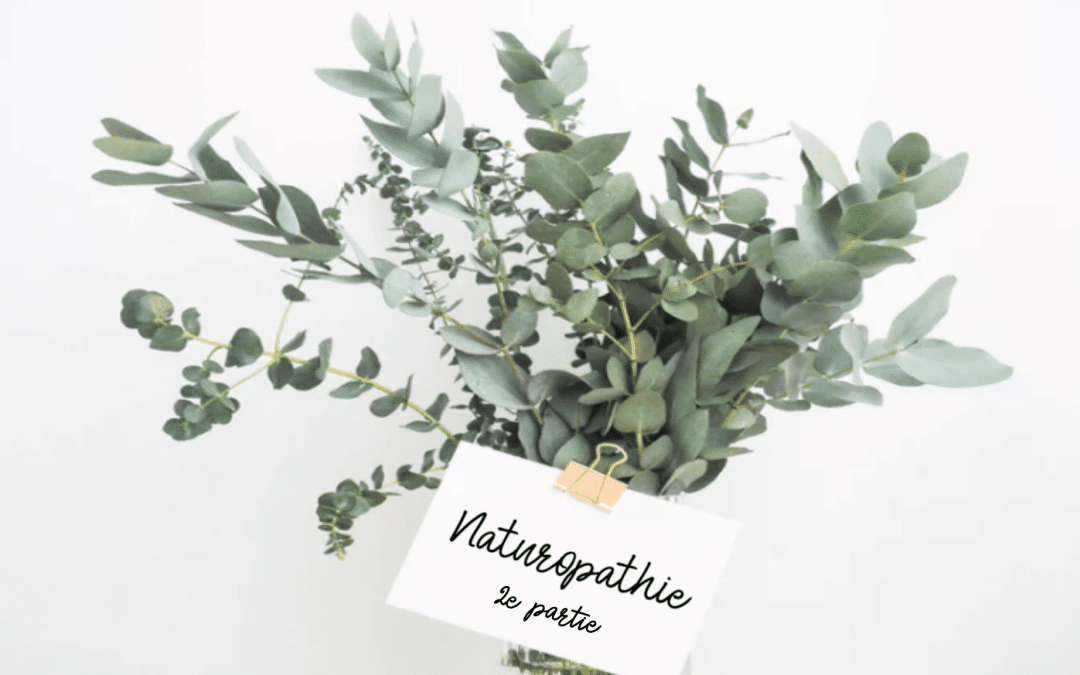 La naturopathie par Sonia Robino – 2e partie