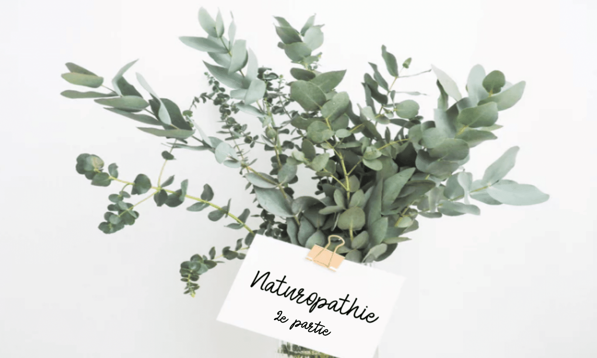 La naturopathie par Sonia Robino – 2e partie