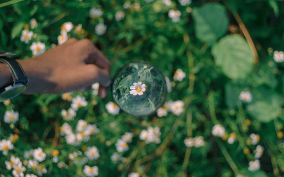 Quand consulter un naturopathe ?