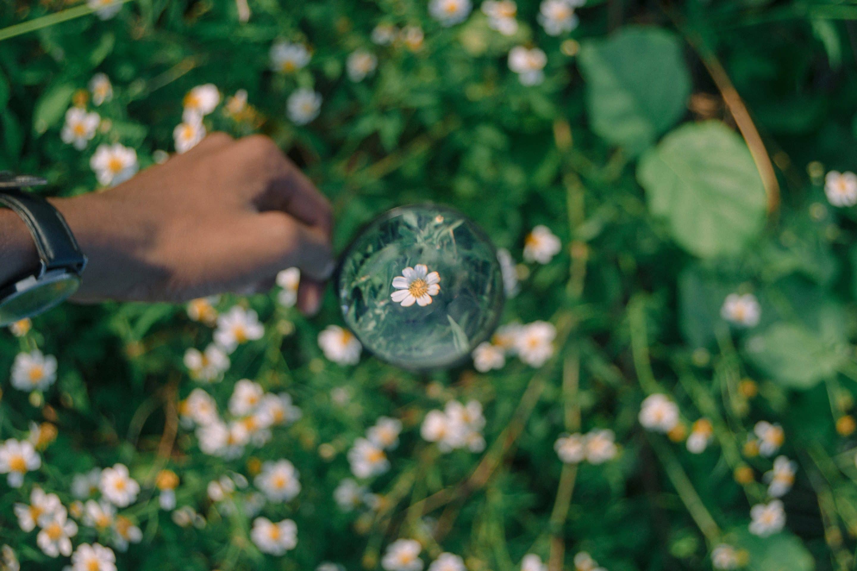 Quand consulter un naturopathe ?