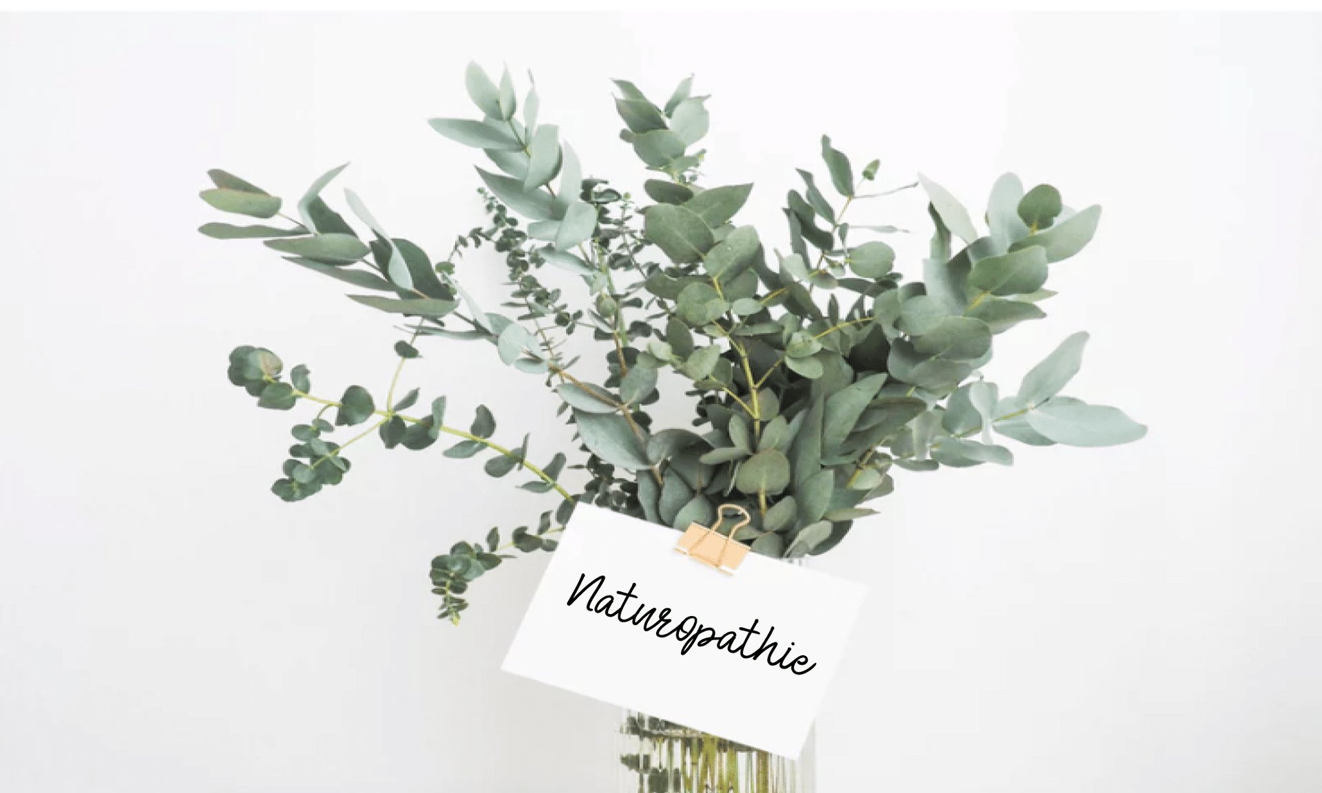 La naturopathie par Sonia Robino