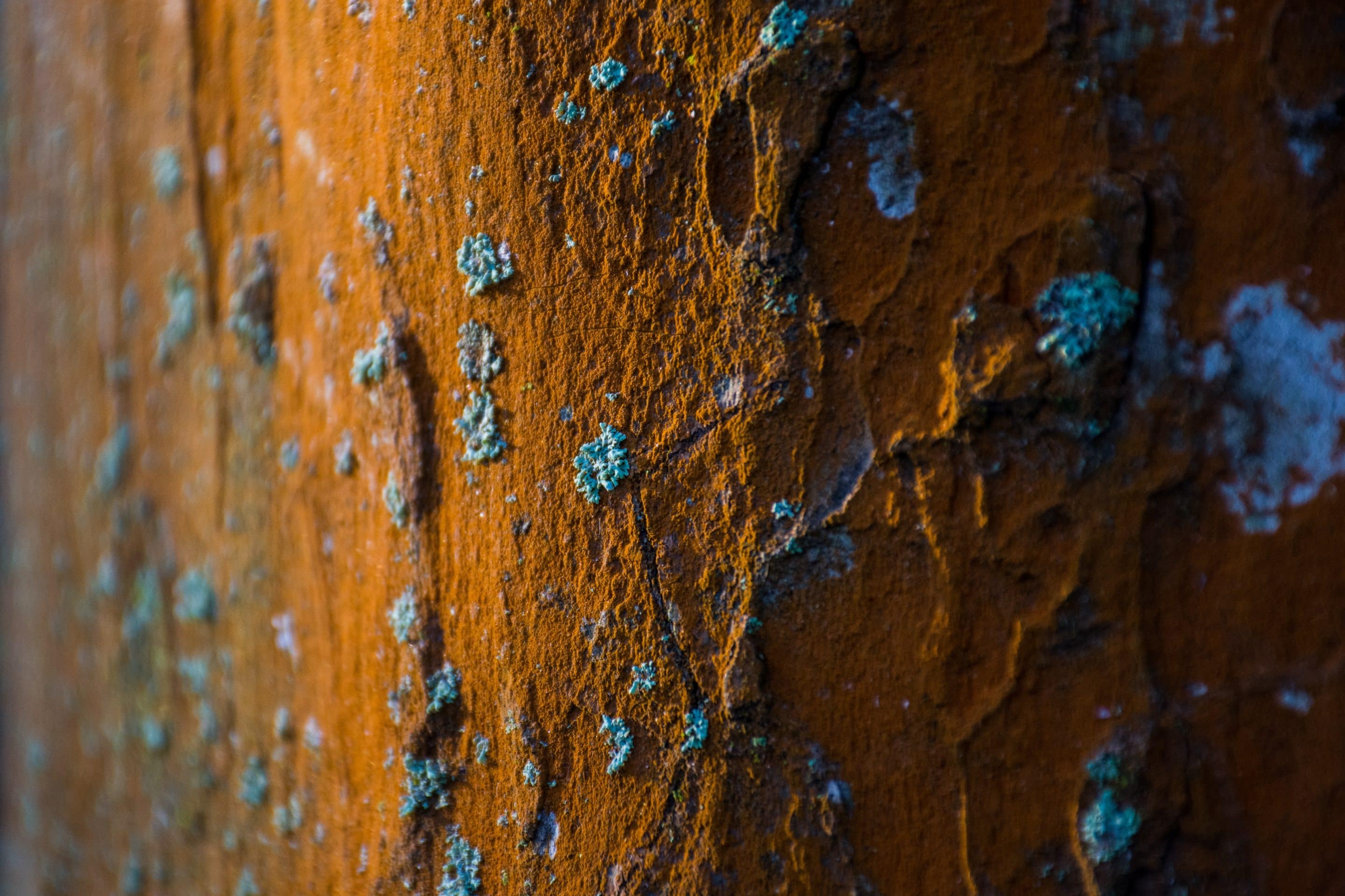 Comprendre et prévenir l’oxydation cellulaire