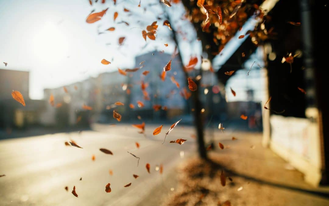 Quand automne rime avec vitalité et sérénité
