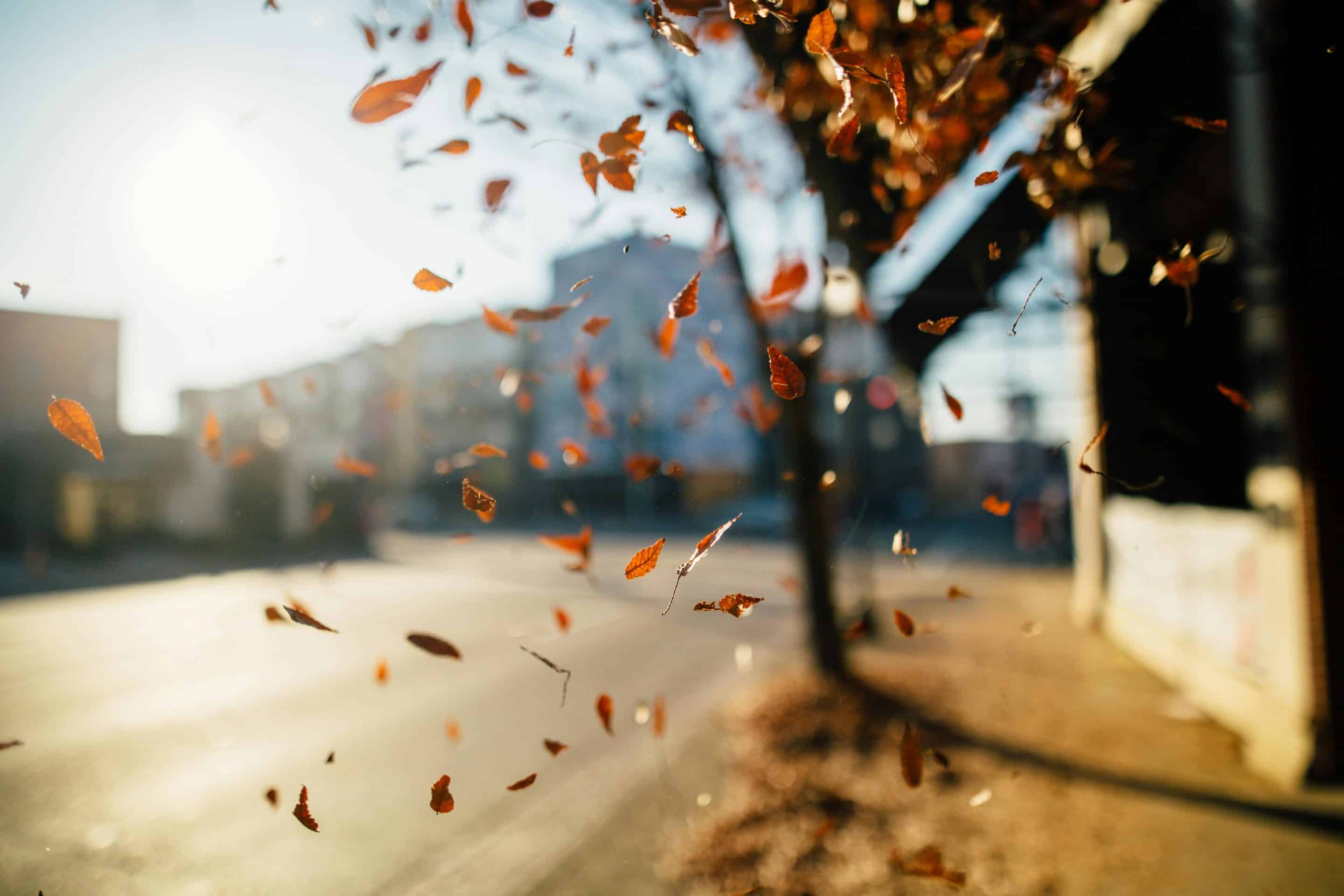 Quand automne rime avec vitalité et sérénité