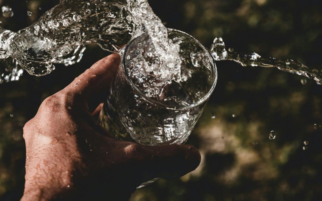 Sève de bouleau : la cure de saison !