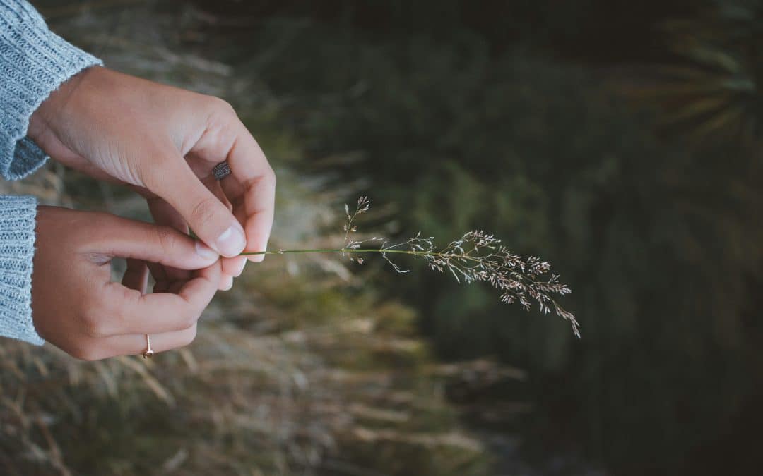 Nouvelles habitudes naturo pour une rentrée zen