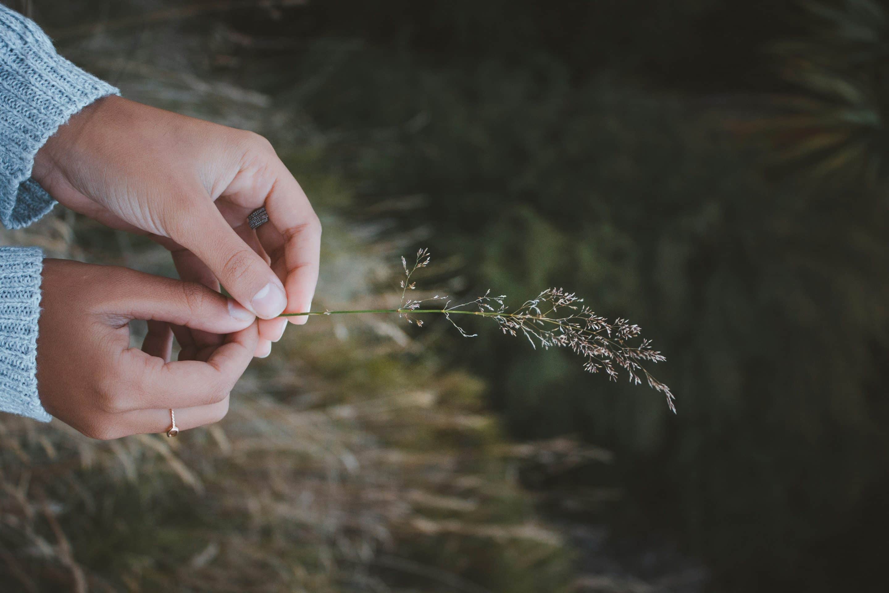 Nouvelles habitudes naturo pour une rentrée zen