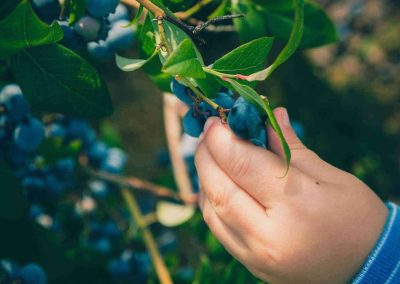 bysohealthy naturopathie baies