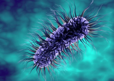 sohealthy ecoli naturopathie
