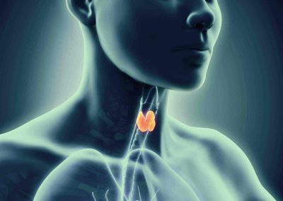 La thyroïde